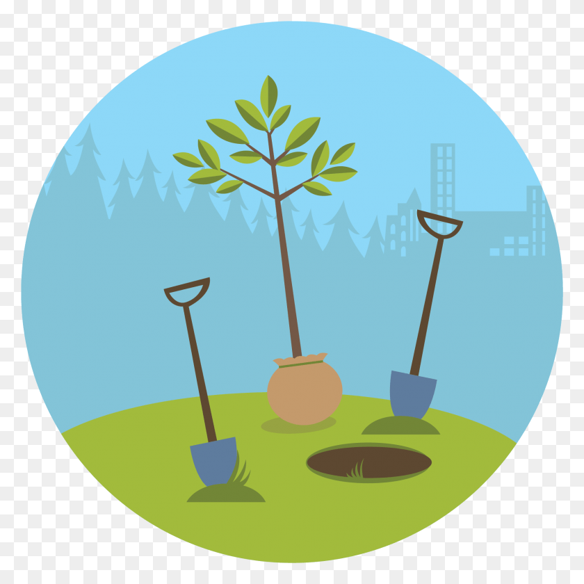 1776x1776 Descargar Png Tree Clipart Trge Planta Un Árbol De Dibujos Animados, Vegetación, La Luz, Carretera Hd Png