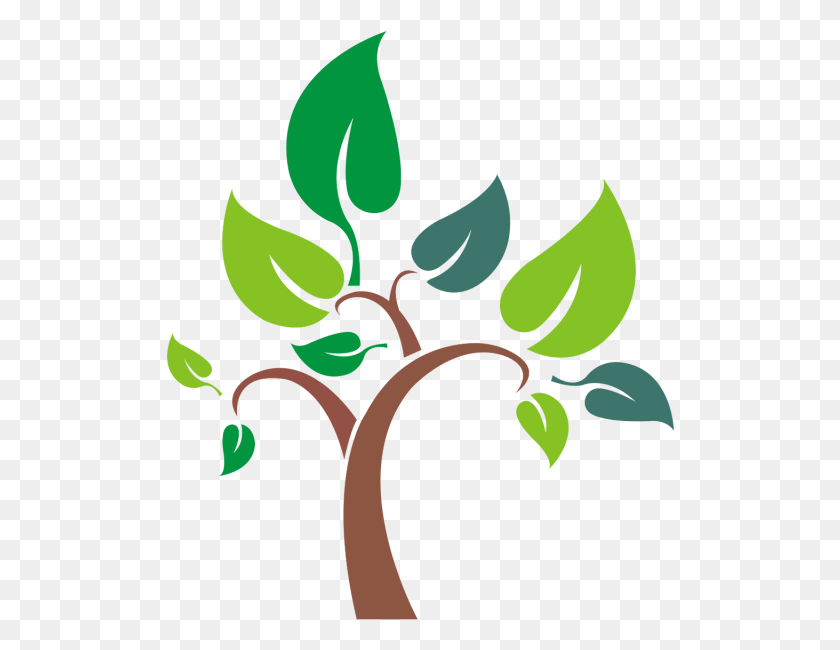 508x590 Дерево Дизайн Ai Файл Дизайн Дерева, Зеленый, Растение, Лист Hd Png Скачать