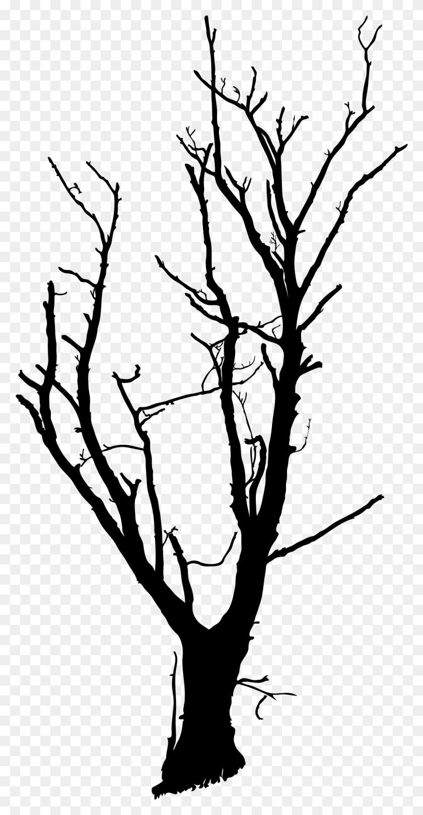 1144x2285 Tree Drawing Branch Clip Art Dead Tree Line Art, Gray, World Of Warcraft HD PNG Download