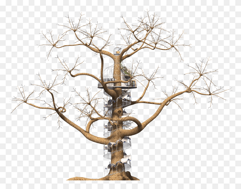 5775x4441 Tree Fantasy Spiral Staircase 1511604 Tree Branch Fantasy HD PNG Download