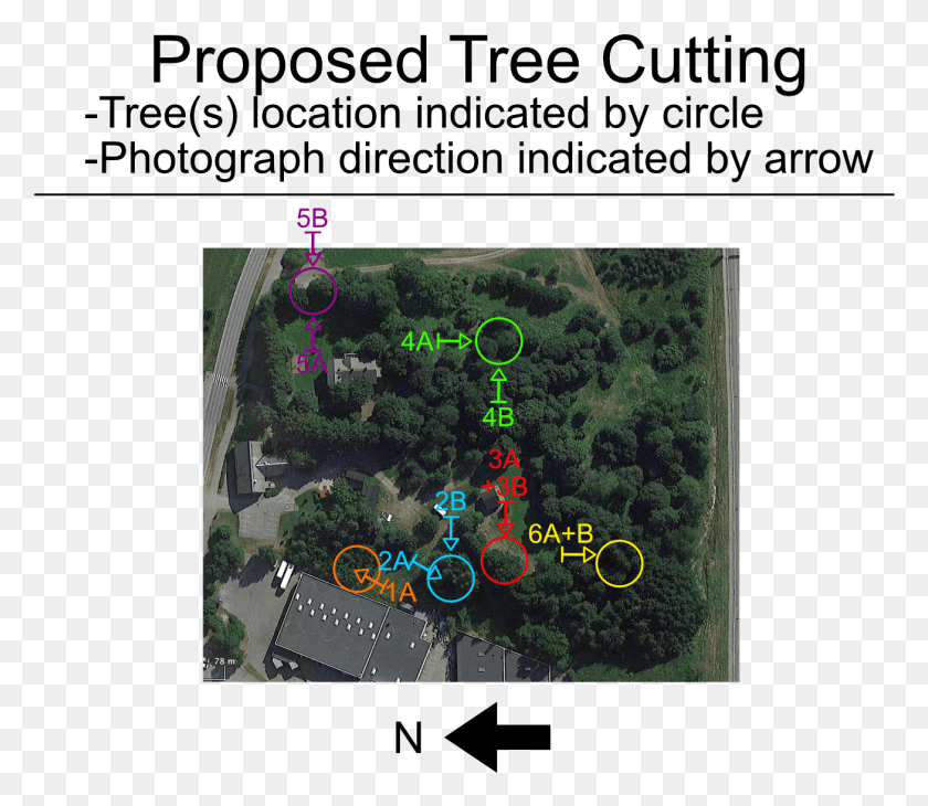 1306x1123 Tree Felling Map Messer Cutting Systems, Rug, Vegetation, Plant Descargar Hd Png