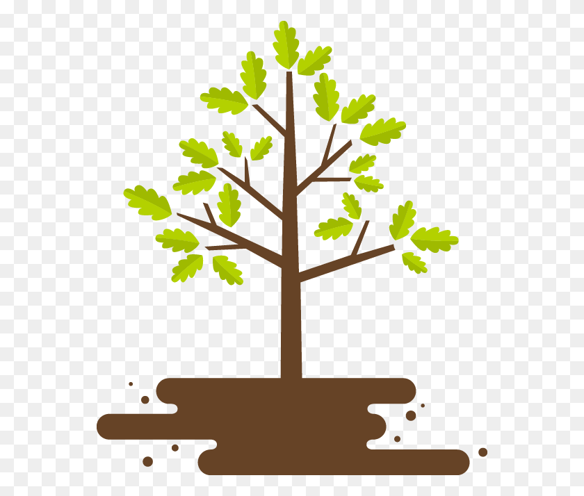 562x654 Логотип Ограждения Деревьев И Ландшафтный Дизайн, Растение, Дуб, Платан Hd Png Скачать
