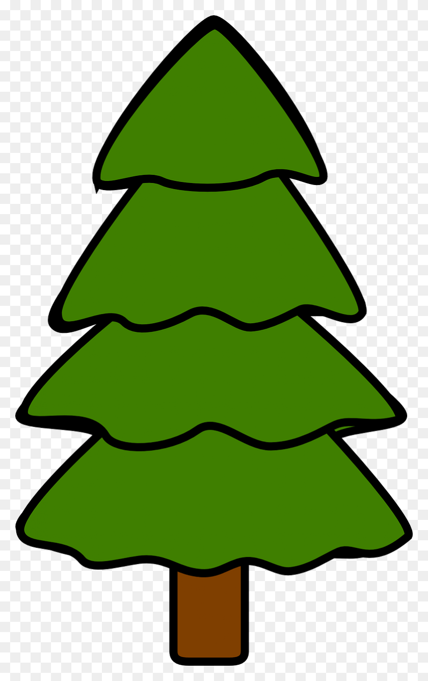 782x1280 Tree Fir Pine Spruce Nature Image Pine Tree Clipart, Plant, Leaf, Symbol HD PNG Download