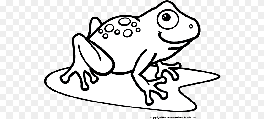 563x381 Tree Frog Black And White Transparent Frog Black And White, Amphibian, Animal, Wildlife, Fish Clipart PNG