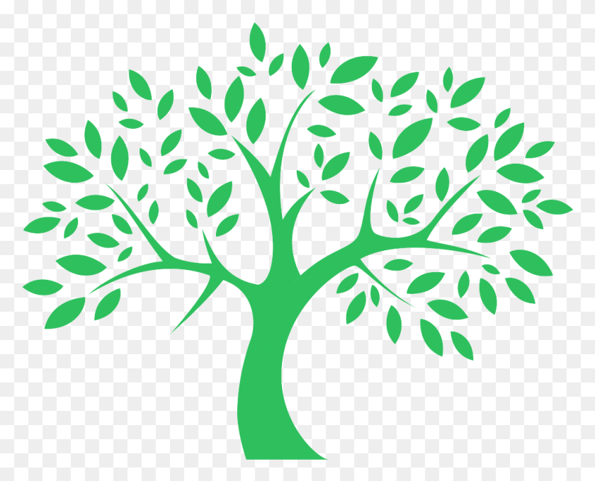 1013x804 Tree Graphic, Plant, Vase, Jar Descargar Hd Png