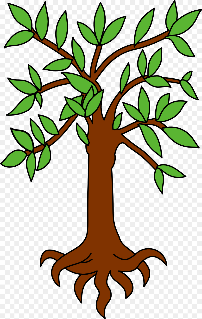 Tree Heraldic Symbol Graphic Design Icon Tree Heraldry, Leaf, Plant, Potted Plant, Vegetation Transparent PNG