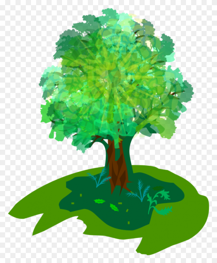 1175x1446 Tree Icon Logo Vector Grow 1151238 Nature Club, Sea Life, Animal, Pattern HD PNG Download