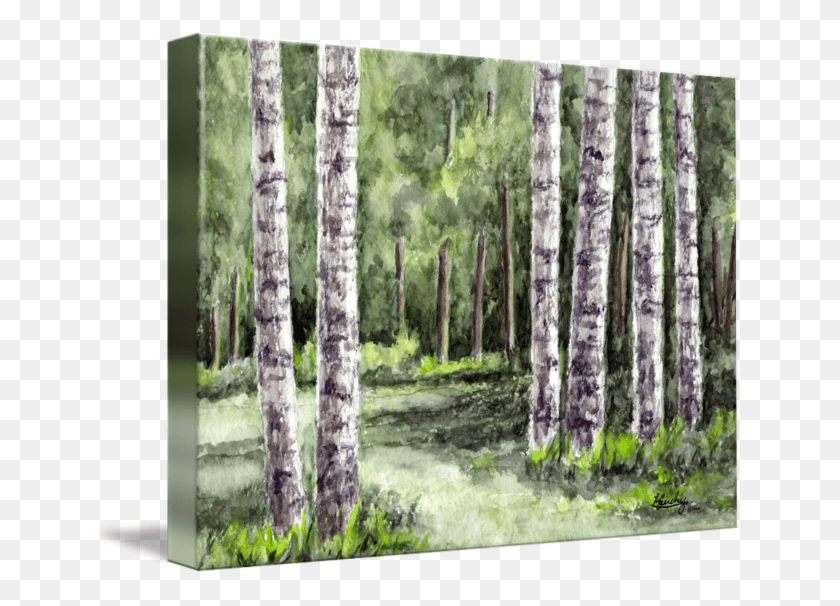 650x546 Tree Landscape By Pixel Paint Studio Grove, Plant, Birch, Tree Trunk HD PNG Download