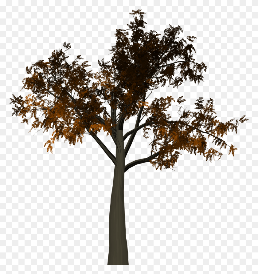 1202x1280 Tree Leaves Autumn Fall Image Silhouette, Plant, Cross, Symbol HD PNG Download