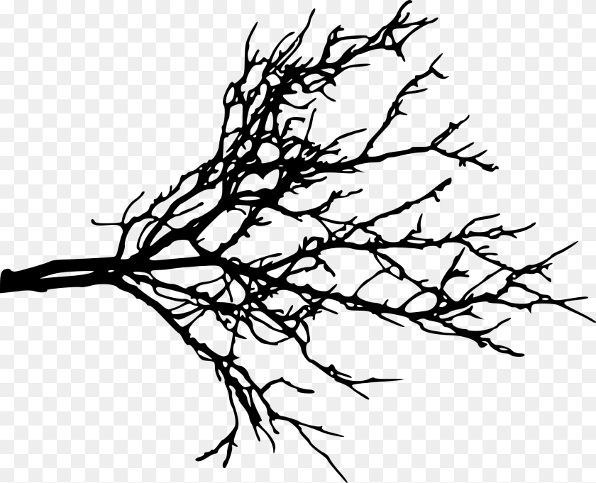 2000x1622 Tree Limb Transparent Tree Limb, Art, Drawing, Silhouette Clipart PNG