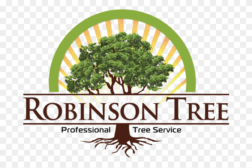 690x501 Descargar Png Tree Logo Robinson Tree Service Inc., Planta, Vegetación, Al Aire Libre Hd Png