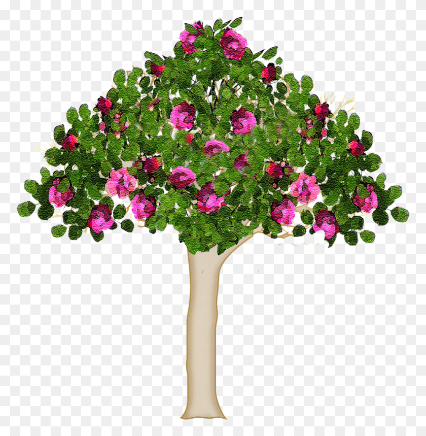 926x949 Tree Nature Forest Baum Im Sommer Blhen, Plant, Geranium, Flower HD PNG Download
