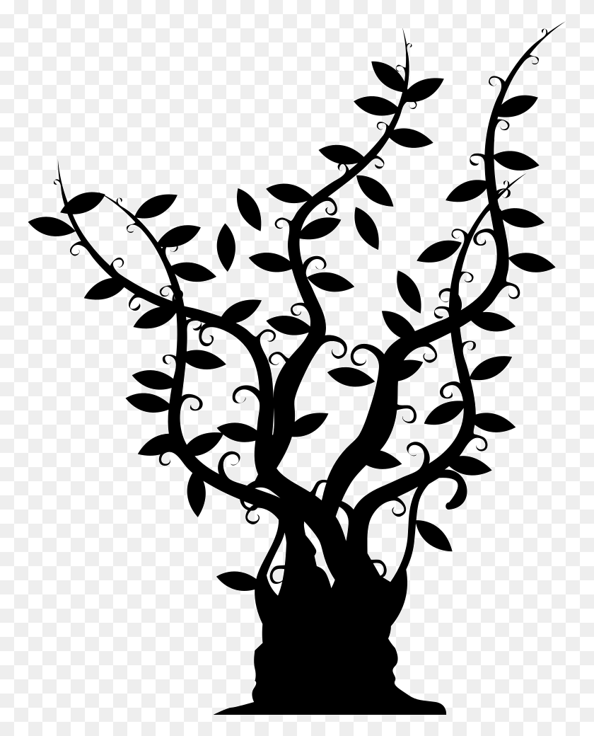 762x980 Tree Of Gross Trunk With Long Thin Branches With Leaves Arbol Con Ramas Largas, Graphics, Floral Design HD PNG Download