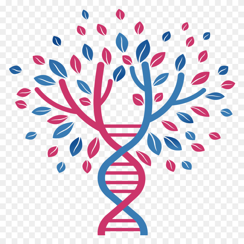 1751x1752 Tree Of Hope Dna Tree, Graphics, Floral Design HD PNG Download