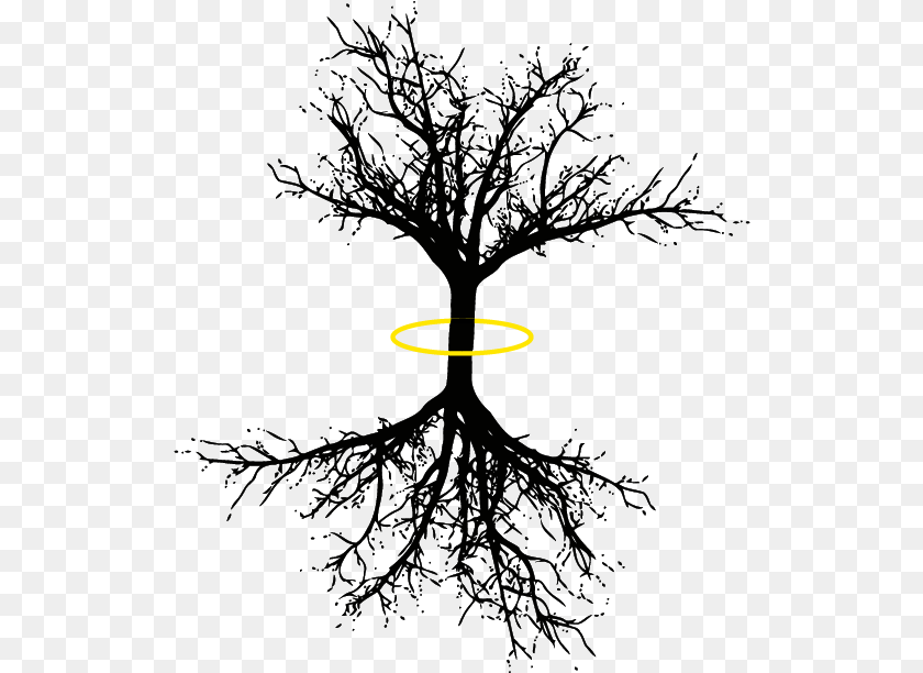 Tree Of Life Coniferous Tree Long Roots, Logo, Nature, Night, Outdoors Clipart PNG