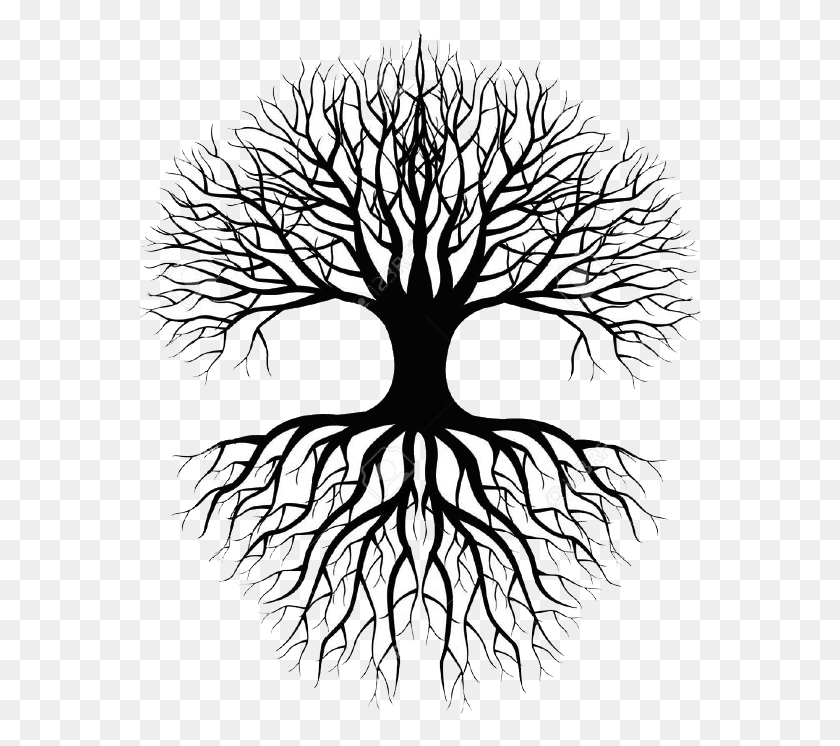 564x686 Tree Of Life Linenlavenderlife Com Copy Tree Silhouette With Roots Vector, Plant, Root, Stencil HD PNG Download