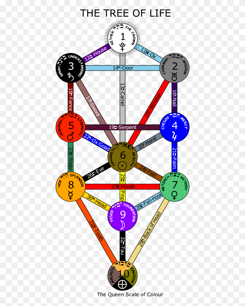 461x989 Tree Of Life Queens Colours Tree Of Life Major Arcana, Gauge, Machine, Clock Tower HD PNG Download