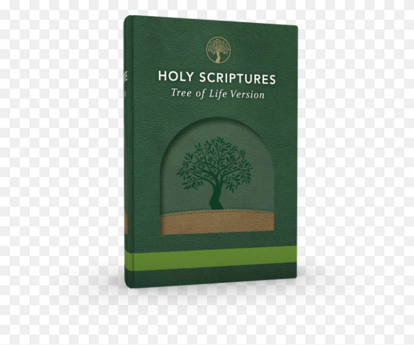 800x658 Tree Of Life Version Book Cover, Book, Text, Novel HD PNG Download