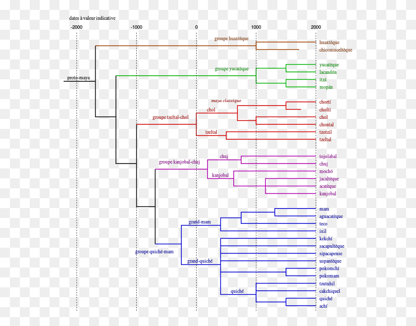 585x598 Tree Of Maya Languages Language Tree For Guatemala, Text, Scoreboard, Light HD PNG Download