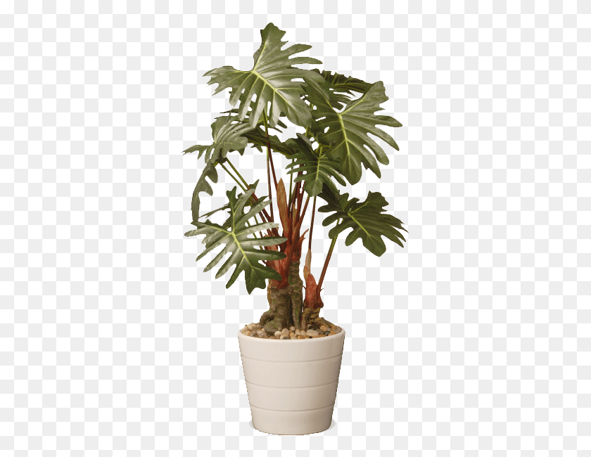 327x590 Tree On Pot, Plant, Palm Tree, Arecaceae HD PNG Download