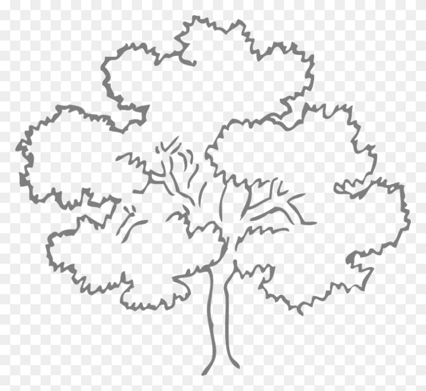 789x720 Tree Outline Image Outline Pictures Of Tree, Nature, Outdoors, Text HD PNG Download
