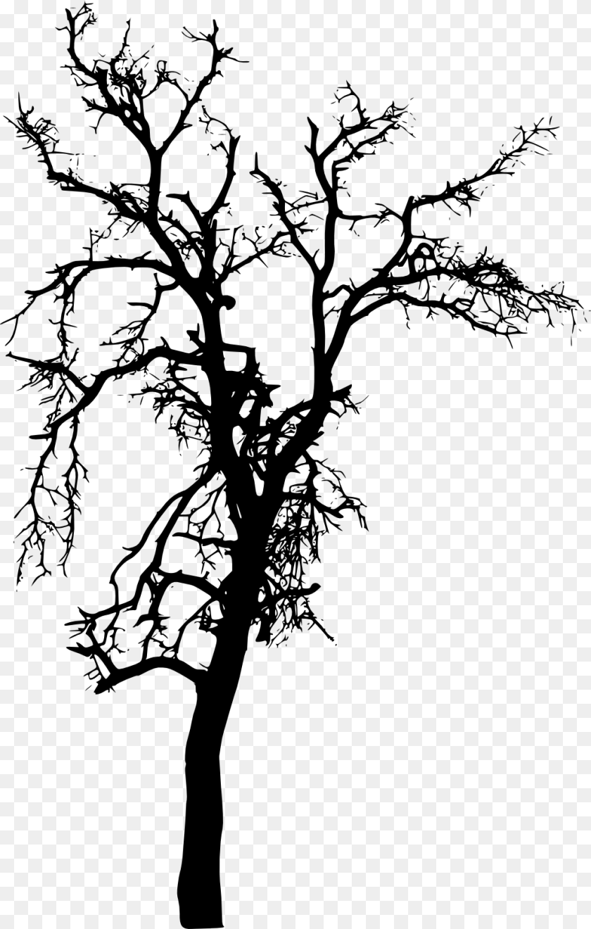 Tree Plant Branch Silhouette Silhouette Tree Images, Art, Drawing Transparent PNG