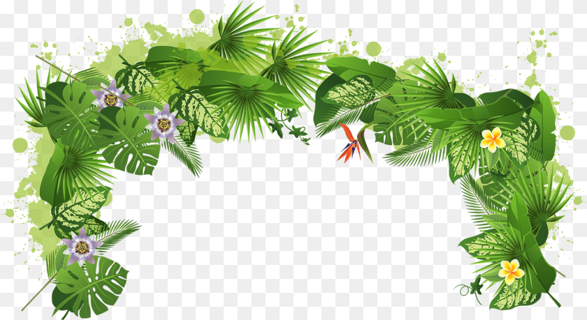 1296x708 Tree Plant Tropical Rainforest Tropical Rainforest, Green, Jungle, Land, Nature PNG