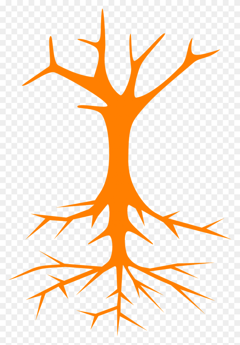 870x1280 Tree Roots Stem Branches Naked Image Green Tree Vector, Root, Plant, Cross HD PNG Download