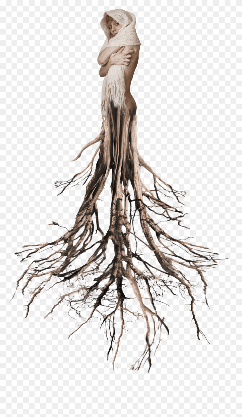 2043x3640 Descargar Png / Tree Roots Mujer Surrealista Tumblr Ftestickers Roots Hd Png