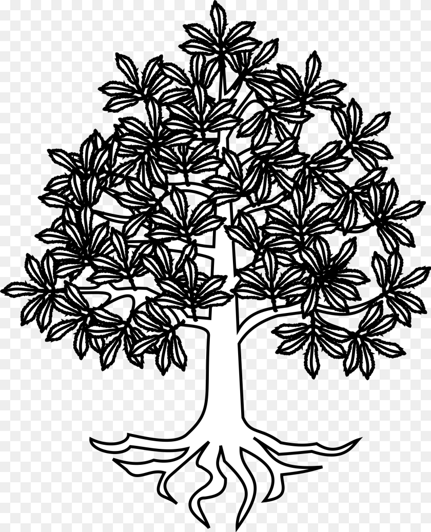 2000x2470 Tree Roots Vector Chtaignier Hraldique, Stencil, Art, Plant, Drawing Transparent PNG