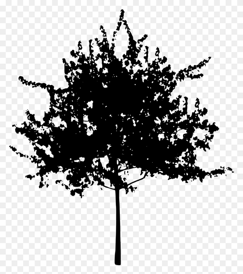 906x1031 Силуэт Дерева Картинки Цветок Дерево Прозрачный Фон, Серый, Мир Варкрафта Png Скачать