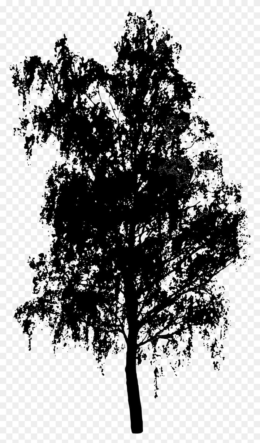 1340x2356 Силуэт Дерева На Прозрачном Фоне Mlp Пародийный Плакат, Серый, Мир Варкрафта Png Скачать