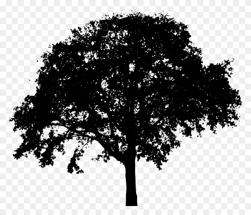 2013x1702 Tree Silhouette Tree Silhouette Oak Drawing Free Tree Silhouette Transparent Background, Gray, World Of Warcraft HD PNG Download