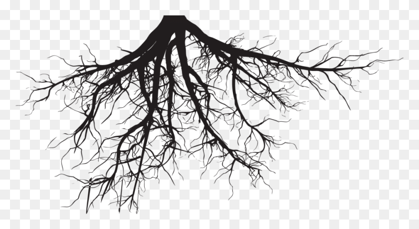 939x481 Tree Silhouette With Roots, Root, Plant HD PNG Download