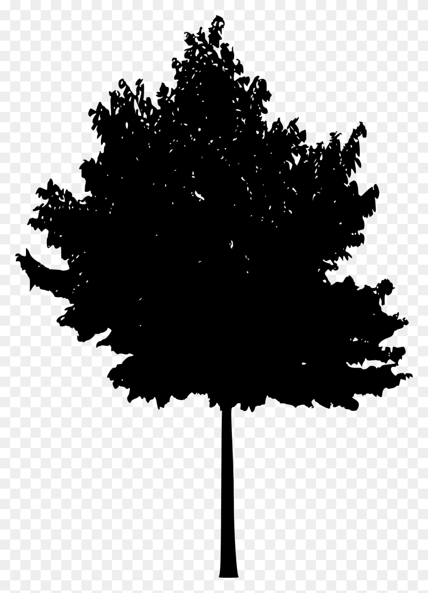 1411x2000 Tree Silhouettes Transparent Background Maple Tree Silhouette, Plant, Stencil HD PNG Download