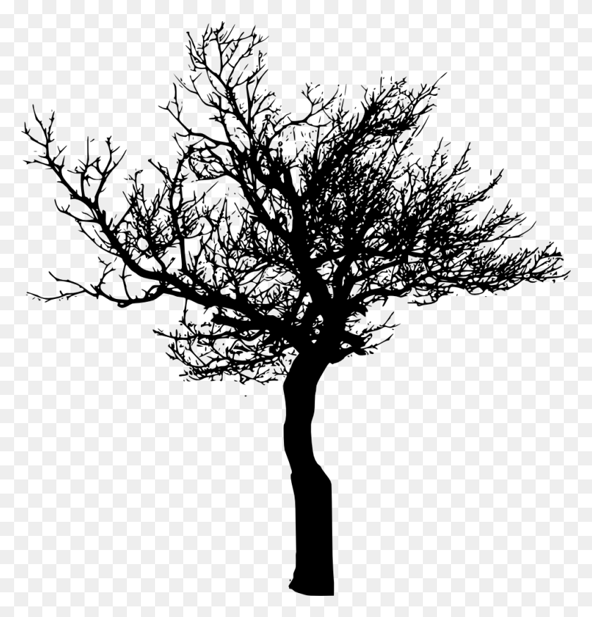979x1024 Tree Silhouettes Tree Silhouette Transparent Background, Plant, Tree Trunk HD PNG Download