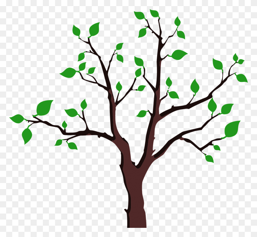 1280x1178 Дерево Редкое, Растение, Ствол Дерева, Лист Hd Png Скачать