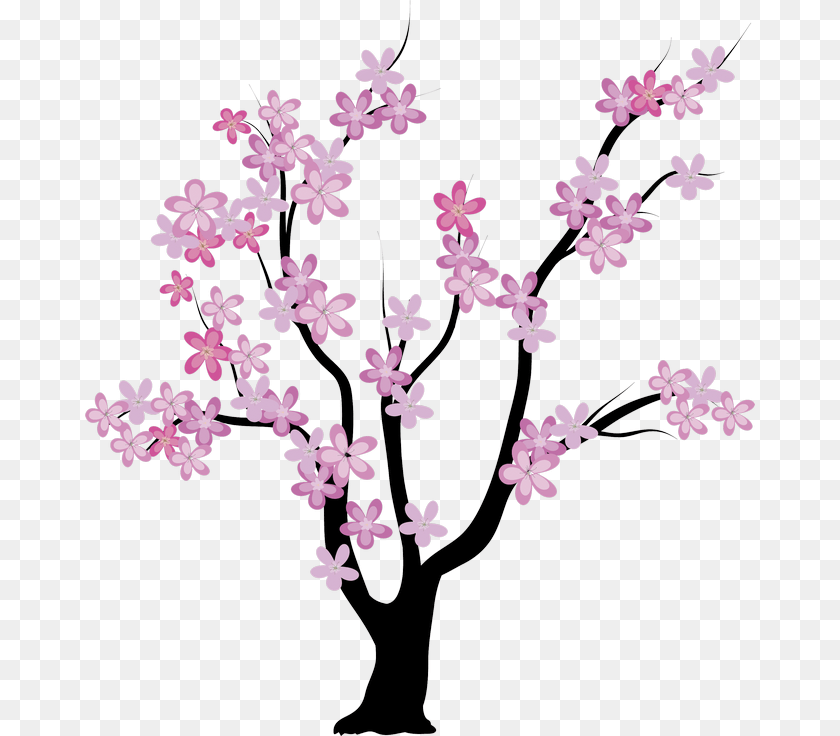 670x736 Tree Spring Album, Flower, Plant, Cherry Blossom, Flower Arrangement Clipart PNG