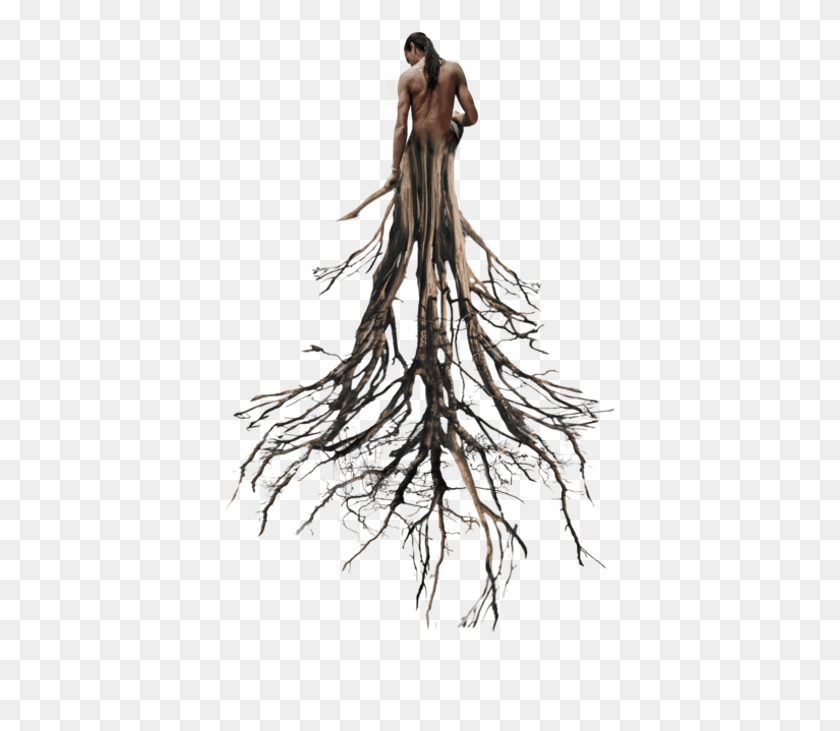 391x671 Tree Sticker Roots, Root, Plant, Person HD PNG Download