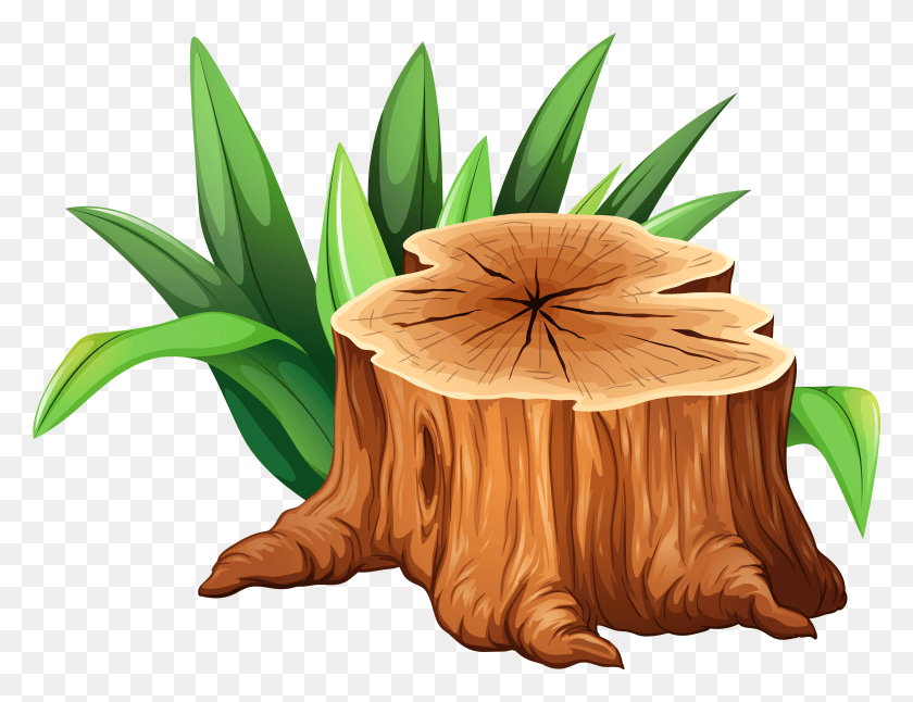 3879x2918 Tree Stump Clipart Image Tree Stump Clipart, Fungus HD PNG Download