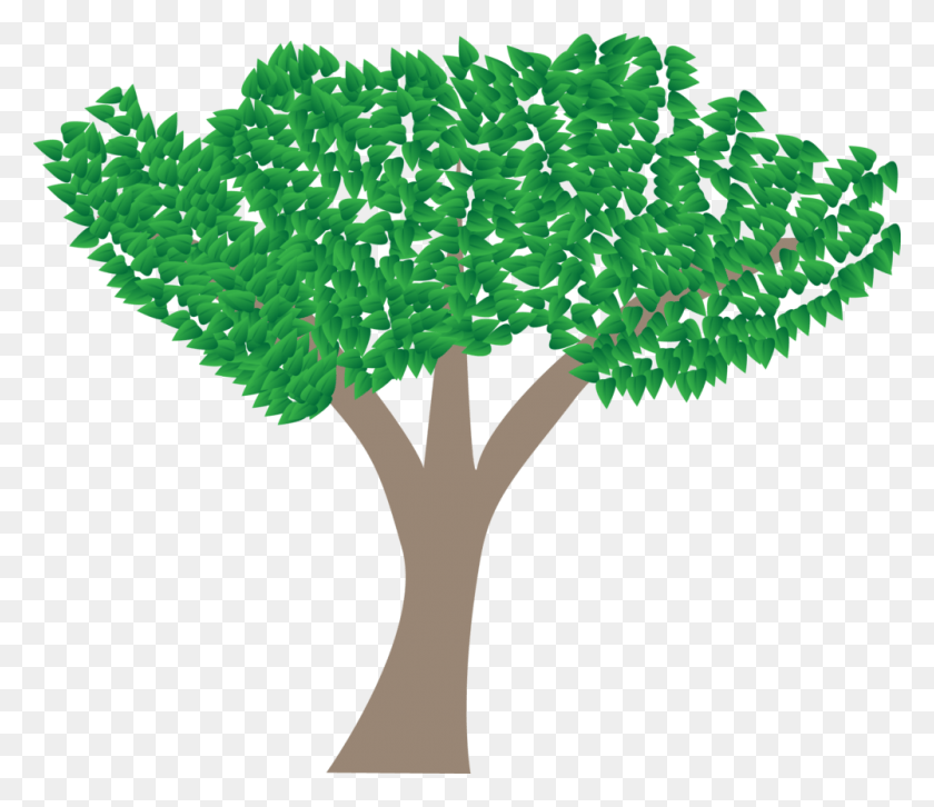 1000x854 Верхушка Дерева, Растение, Куст, Растительность Hd Png Скачать