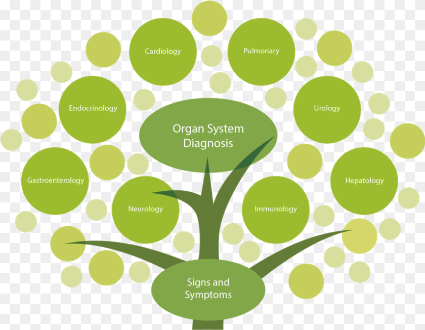 Tree Top Functional Medicine Tree Full Size Download Functional Medicine Tree, Green, Pattern, Leaf, Plant Clipart PNG