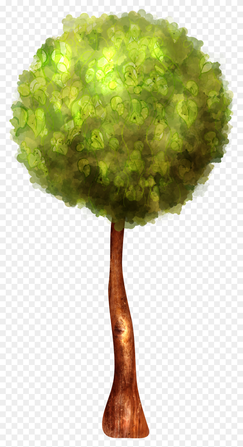 1157x2200 Tree Trees Free Clipart Grass, Plant, Green, Moss HD PNG Download