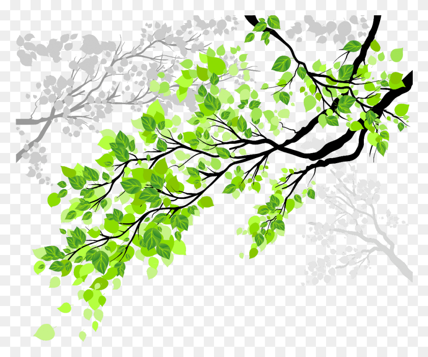 1024x841 Деревья Деревья Природа Листья Ветви Ветви Рамас Де Арболес, Графика, Цветочный Дизайн Hd Png Скачать