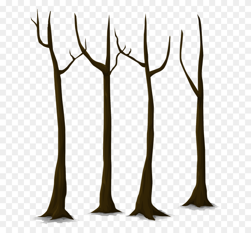 633x720 Tree Trunk Vector Tree Bunch, Antler, Plant HD PNG Download