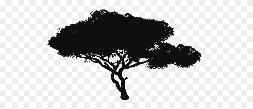 527x304 Дерево Вектор Клипарт Дерево Вектор Черный Psd, Природа, На Открытом Воздухе Hd Png Скачать