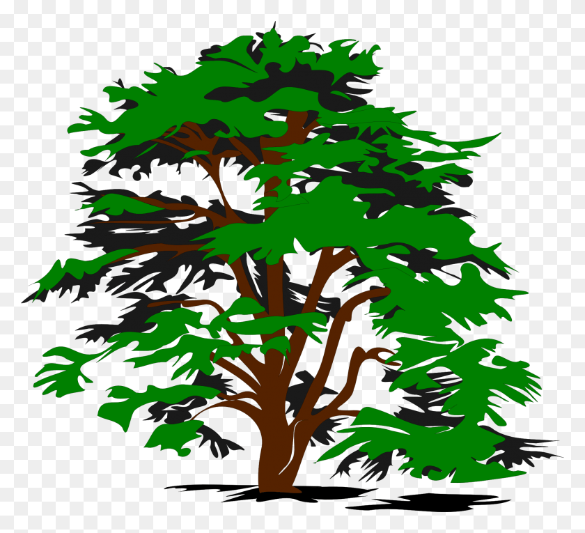 1969x1780 Tree Vector Land Labor And Capital Resources, Tree, Plant, Maple HD PNG Download