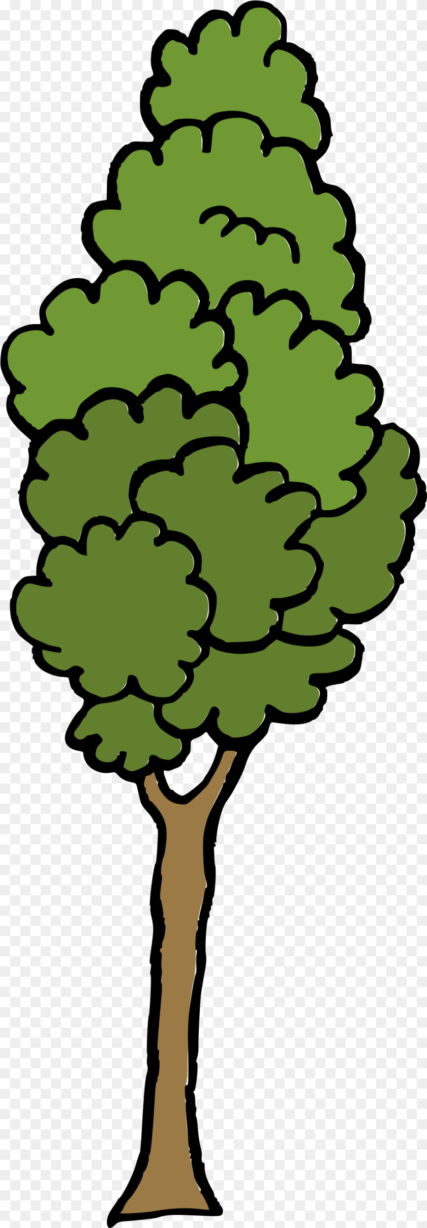 Tree Vector Svg Transparent Cartoon Tree Transparent, Conifer, Plant, Person, Oak Sticker PNG
