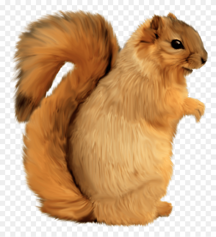 1446x1598 Tree Whiskers Clip Art Brown Squirrel Sincap Cizim, Dog, Pet, Canine HD PNG Download