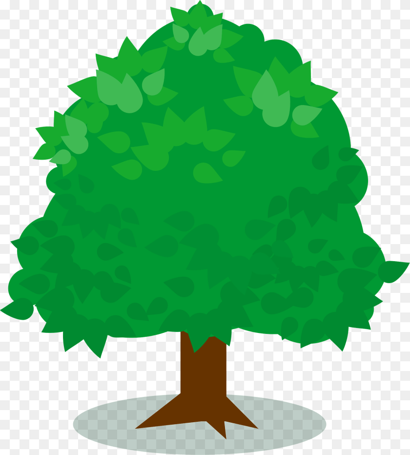 Tree With Leaves Clipart, Green, Vegetation, Plant, Sycamore PNG